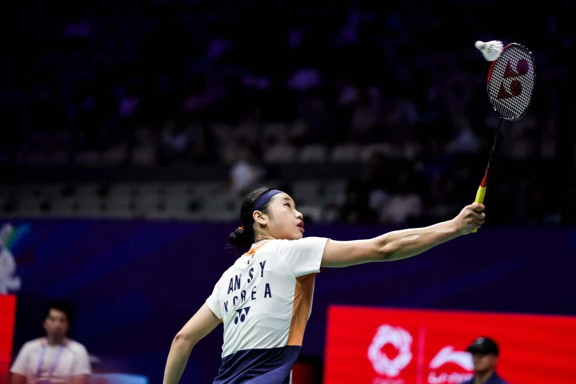 李宁, 锦赛风采